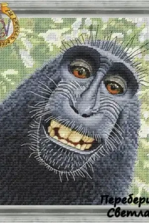 Crested Macaque Cross Stitch Pattern Warranty Included