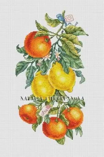 Best Choice Citrus Cross Stitch Pattern