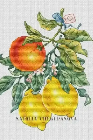 Citrus mini Cross Stitch Pattern Free Returns