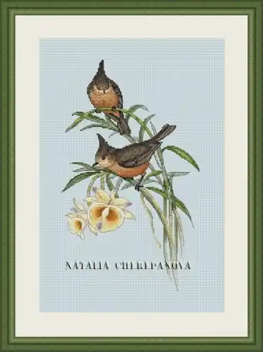 Crested Tits Cross Stitch Pattern Top Pick