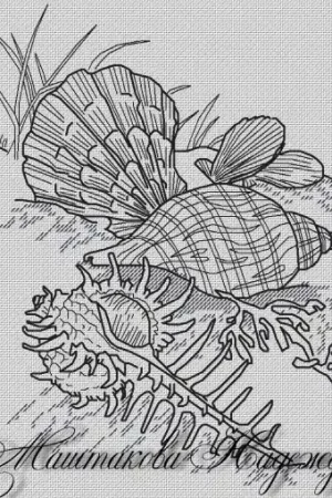 Seashells Cross Stitch Pattern Big Sale