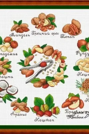 Affordable Nut Sampler Cross Stitch Pattern