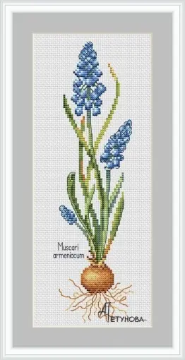 Best Seller Muscari Cross Stitch Pattern