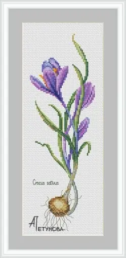 Crocus Cross Stitch Pattern Authentic