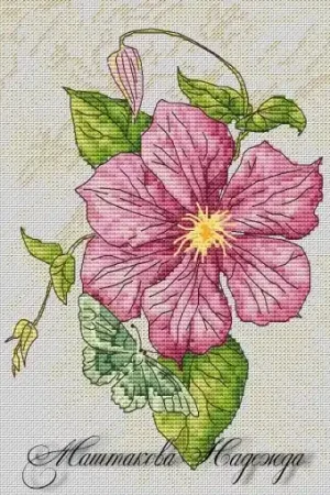 Shop Now Clematis Cross Stitch Pattern