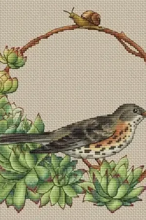 Thrush and Succulents Cross Stitch Pattern Order Now