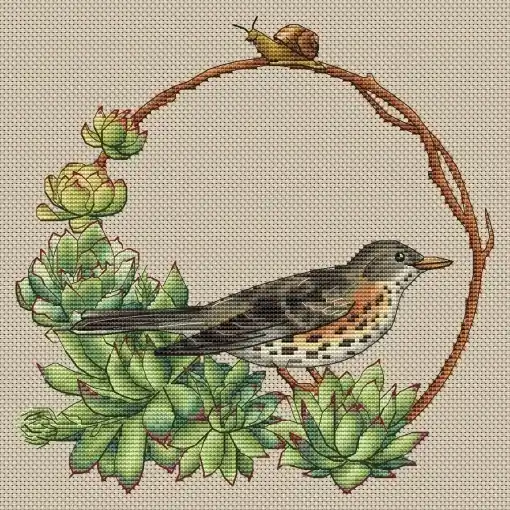 Thrush and Succulents Cross Stitch Pattern Order Now