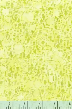 Anthology 2227Q-X Lime Don’t Miss Out