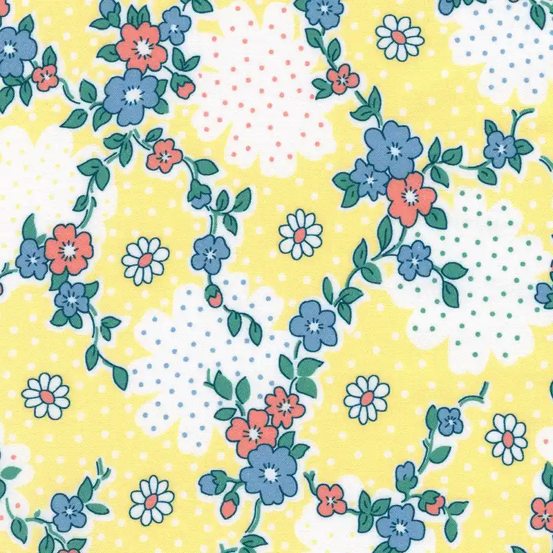 Robert Kaufman – Darlene Zimmerman: Blast From the Past – ADZD-22971-5 Yellow Limited Offer