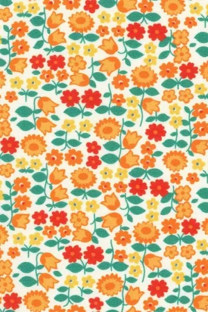 Affordable Robert Kaufman – Darlene Zimmerman: Darlene’s Favorites ADZD-23338-8 Orange