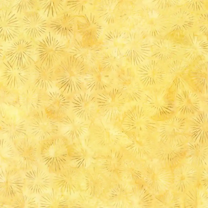 Top Pick Robert Kaufman AMD-22261-130 Sunshine