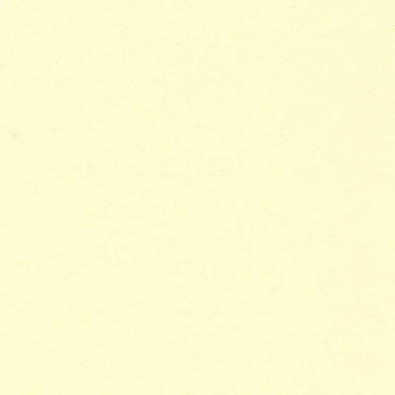 Next Day Delivery Robert Kaufman Flannel Solids F019-840 Duckling