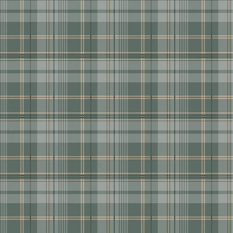 Warranty Included Timeless Treasures Winter Wonderland – CD3702 Green – Tartan Plaids