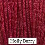Classic Colorworks 6 Strand Floss | Holly Berry Shop Now