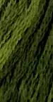 Latest The Gentle Art 6 Strand Floss | Green with Envy