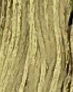 Weeks Dye Works 6 Strand Floss | Broom Tree 1194 Luxury