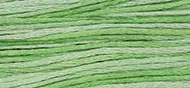 Best Choice Weeks Dye Works 6 Strand Floss | Cactus 2181