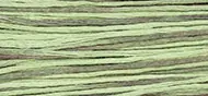Weeks Dye Works 6 Strand Floss | Cape Cod 1181 Same Day Shipping