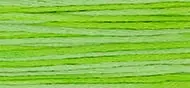 Save Now Weeks Dye Works 6 Strand Floss | Chartreuse 2203