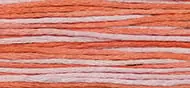Weeks Dye Works 6 Strand Floss | Flamingo 2247 Order Now
