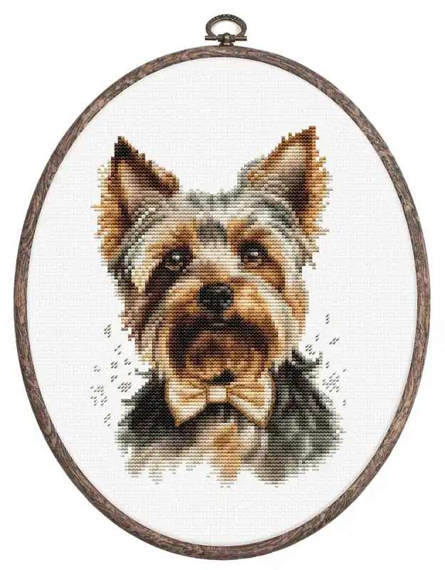 Clearance The Yorkshire Terrier BC228L Counted Cross-Stitch Kit