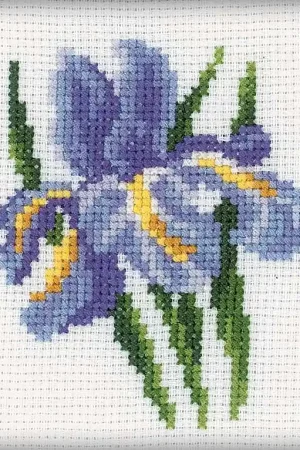 Premium Iris H172 Counted Cross Stitch Kit