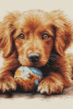 The Play Time BU5037L Counted Cross-Stitch Kit One Day Deal