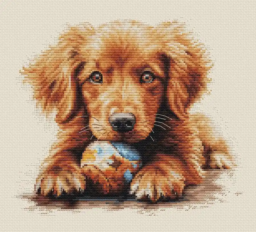 The Play Time BU5037L Counted Cross-Stitch Kit One Day Deal