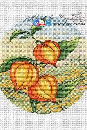 Hassle-Free Returns Autumn Circles. Physalis - PDF Cross Stitch Pattern