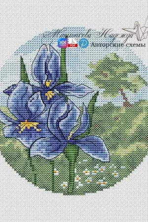 Autumn Circles. Irises - PDF Cross Stitch Pattern Fast Shipping