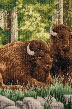 Counted cross stitch kit Bison M-520C Certified