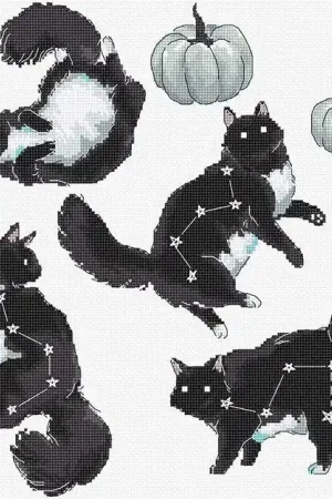Cat Constellation L8817 Counted Cross Stitch Kit Deal