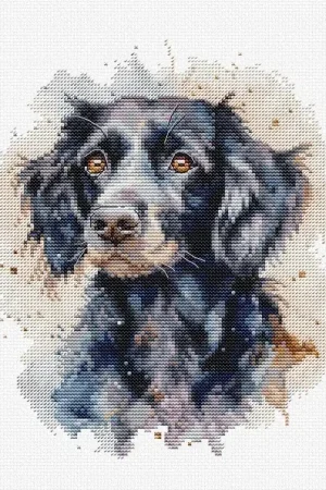 The Border Collie BC213L Counted Cross-Stitch Kit Limited Time