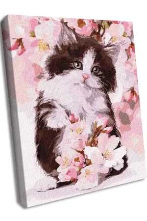Free Delivery Painting by Numbers kit Cute kitten KHO4383