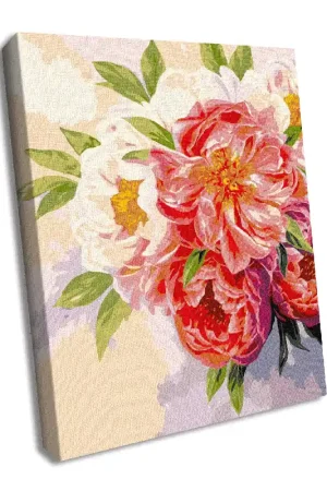 Direct From Factory Painting by Numbers kit The peony mood KHO3117