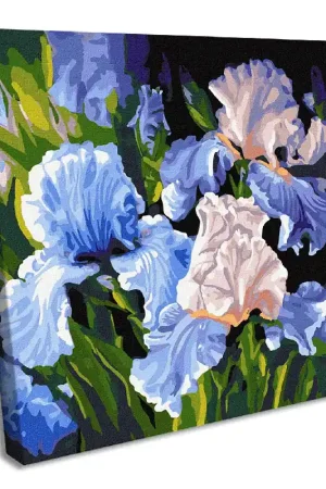 Painting by Numbers kit Bright irises KHO3190 Sale