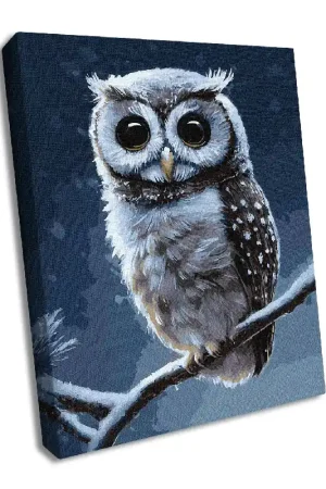Painting by Numbers kit Forest owl KHO4457 Buy Direct