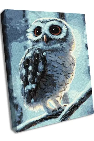 Super Sale Painting by Numbers kit A miracle worker KHO4458