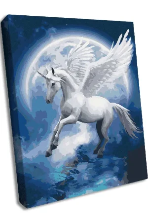 Free Shipping Painting by Numbers kit Unicorn constellation KHO4022