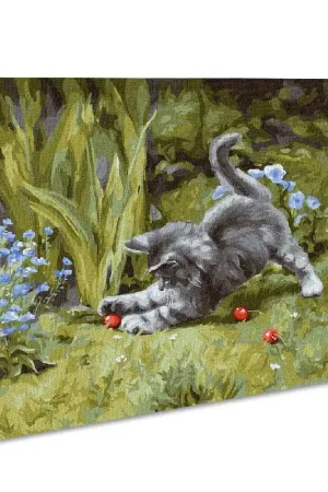 Direct From Factory Painting by Numbers kit Playful kitten KHO4251