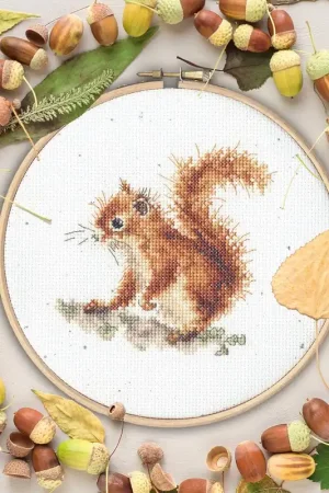 Best Price Acorns XHD116P Counted Cross Stitch Kit