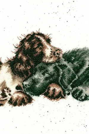 Growing Old Together XHD104 Counted Cross Stitch Kit Best Seller