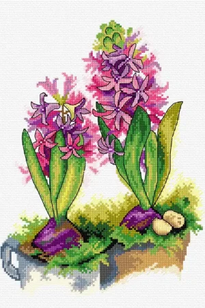 Hiacynth 134CS Counted Cross-Stitch Kit Buy Direct