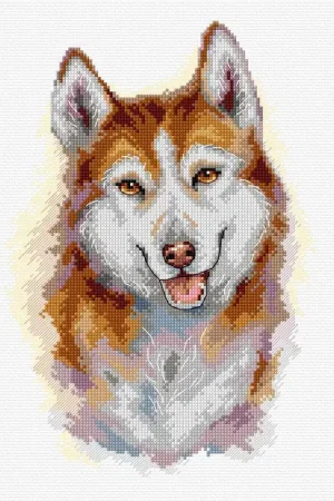 Husky 133CS Counted Cross-Stitch Kit Limited Offer