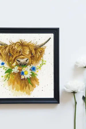 Last Chance Daisy Coo XHD42 Counted Cross Stitch Kit