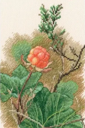 One Day Deal In the moment M961 Counted Cross Stitch Kit