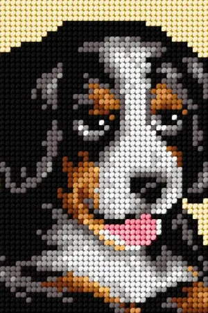 Genuine Gobelin canvas for halfstitch without yarn Bernese Mountain Dog 2721D