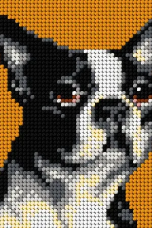 Reduced Price Gobelin canvas for halfstitch without yarn Boston Terrier 2719D
