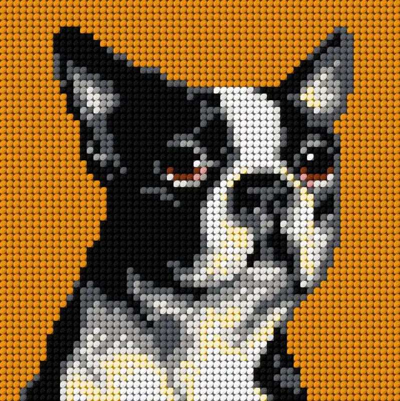 Reduced Price Gobelin canvas for halfstitch without yarn Boston Terrier 2719D