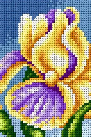 Order Now Gobelin canvas for halfstitch without yarn Iris
